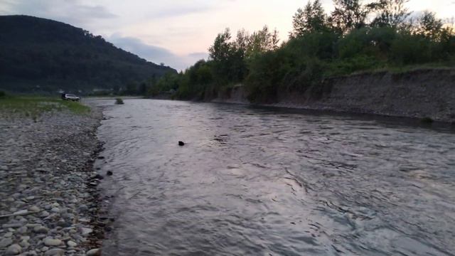 4K ягдтерьер речка смотреть онлайн