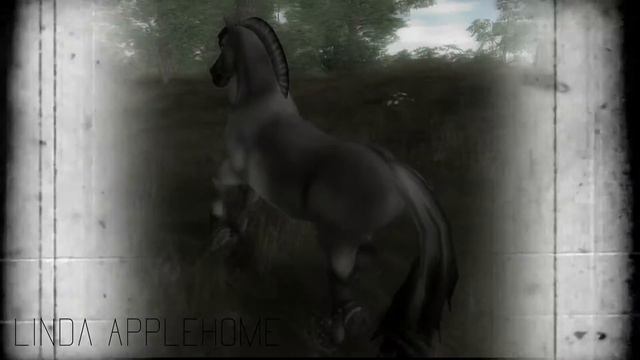 Fjord MEP - Part 5 - To Liv Ponydaughter - Linda Applehome смотреть онлайн