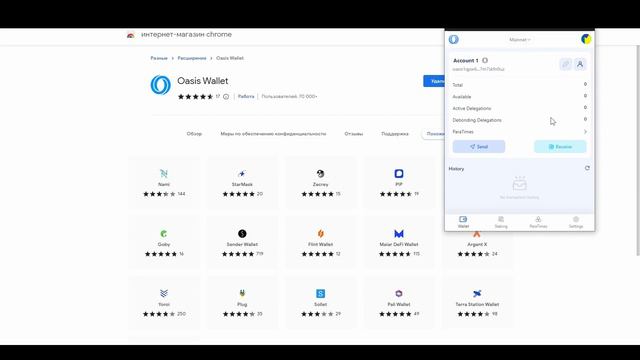 Проект Oasis: Все про РАСШИРЕНИЕ кошелька OASIS в Chrome!