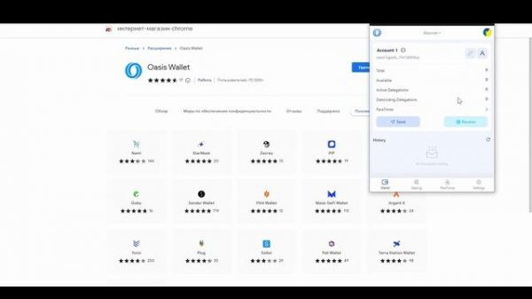 Проект Oasis: Все про РАСШИРЕНИЕ кошелька OASIS в Chrome!