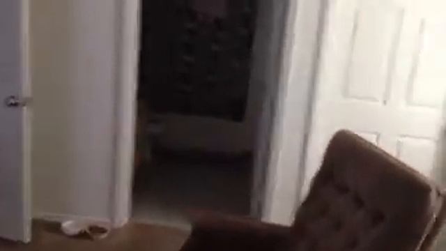 Best Mac setup in the World смотреть онлайн