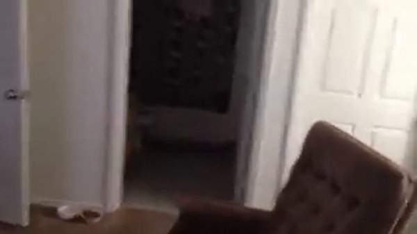 Best Mac setup in the World