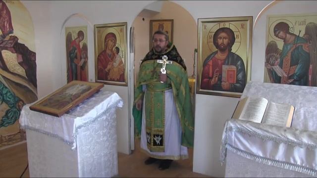 Проповедь в день памяти преподобного Илариона Великого.Священник Игорь Сильченков смотреть онлайн