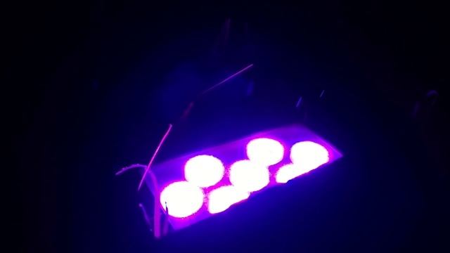 Dollywood's Great Pumpkin Luminights 2020 Complete Walkthrough смотреть онлайн