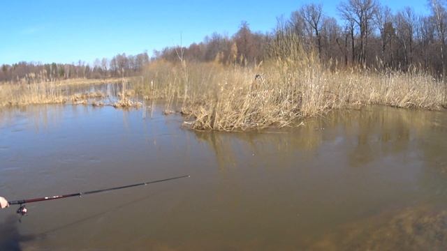 Рыбалка на ДОНКУ / поход на РЕЧКУ с друзьями смотреть онлайн