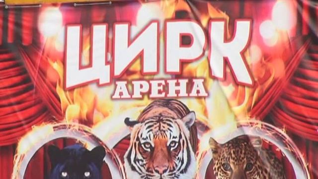 Калейдоскоп 15.05.15 смотреть онлайн