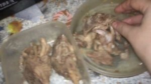 Собакам нельзя кости ! Разбираем куриную голову?