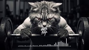 МОЩНАЯ ХИП-ХОП-ЛОВУШКА И БАС-МОТИВАЦИЯ ДЛЯ ТРЕНАЖЕРНОГО ЗАЛА 2024