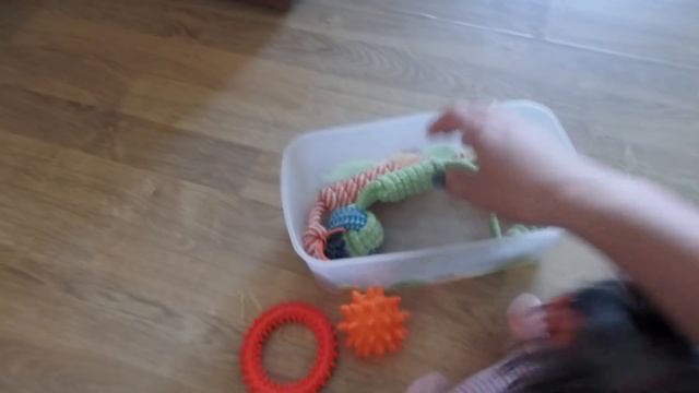 СОДЕРЖАНИЕ ЙОРКА - ЭТО ДОРОГО? Как экономить? Наши с Николь способы. смотреть онлайн