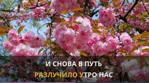 Секрет. Последний час декабря.Караоке.