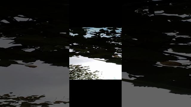20240831_111909.mp4 смотреть онлайн