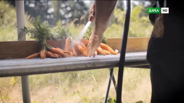 Ребра свиные. Форель с винным соусом. Пивное мороженое. Малиновка