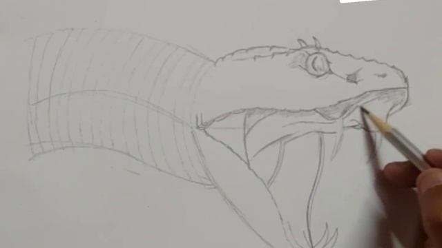 How to draw snake sketch смотреть онлайн
