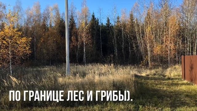 Участки ИЖС в Малахово 2, со всеми коммуникациями в 3 км. от Заокского. смотреть онлайн