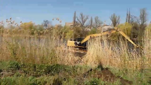 Чистка реки в саду Бернацкого смотреть онлайн
