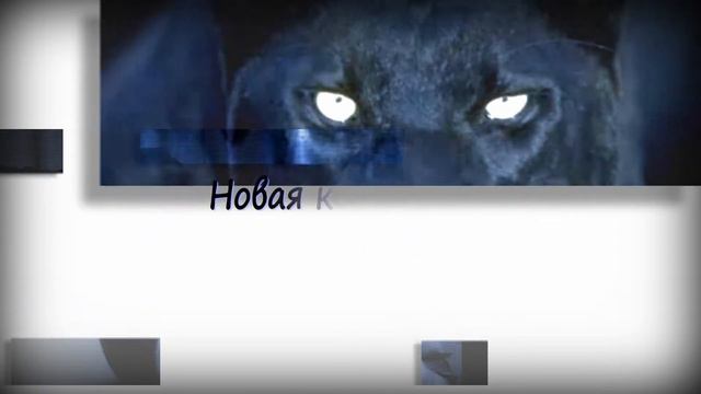 Светлана Найверт Презентация коллекции смотреть онлайн