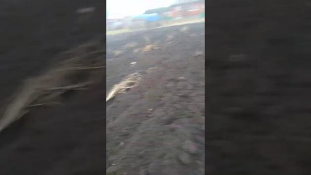 результат переделки плуга пашу одной рукой смотреть онлайн