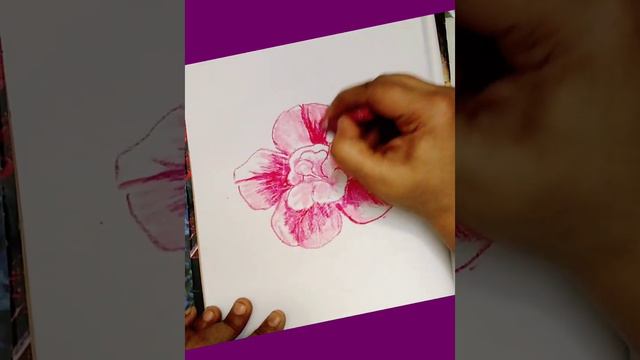 Double Calibrachoa Drawing Tutorial I Beautiful Flower Drawing By Oil Pastel #youtubevideo #drawing