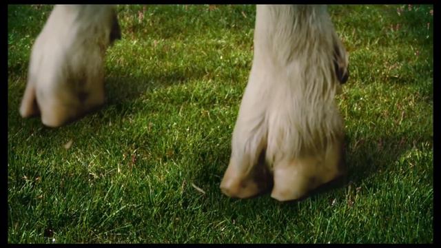 Goat Simulator 4 Official Trailer (PS5) (Xbox Series X/S) смотреть онлайн