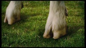 Goat Simulator 4 Official Trailer (PS5) (Xbox Series X/S)