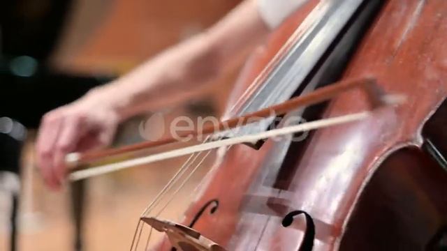 close-up of the bow, which the master leads over the strings of the cello смотреть онлайн