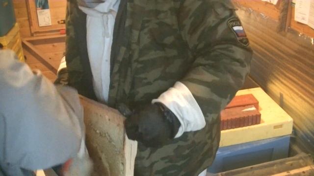 ? Термообработка от клеща пчёл Карника Пешец 2019 ? смотреть онлайн