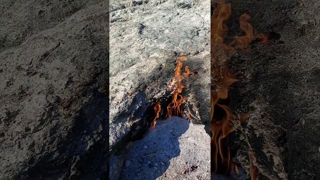 Огни Химеры | Вечный огонь смотреть онлайн