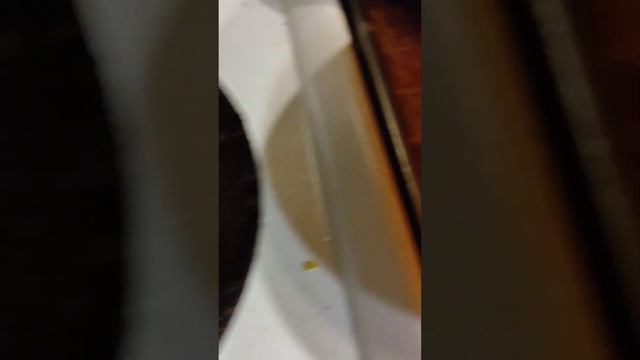 КРЕВЕТКИ, КРЕВЕТКИ, КРЕВЕТКИ👌👌👌 03.02.24 г. #christmas #eat #food #eating #eatfood #барнаул 👍 смотреть онлайн