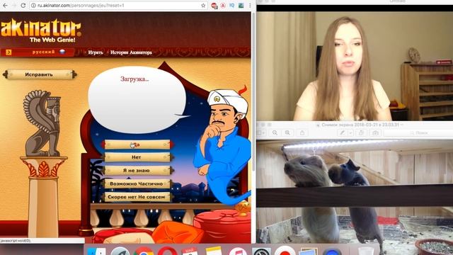 АКИНАТОР УГАДЫВАЕТ МОИХ ПИТОМЦЕВ и МЕНЯ Летсплей / SvinkiShow смотреть онлайн