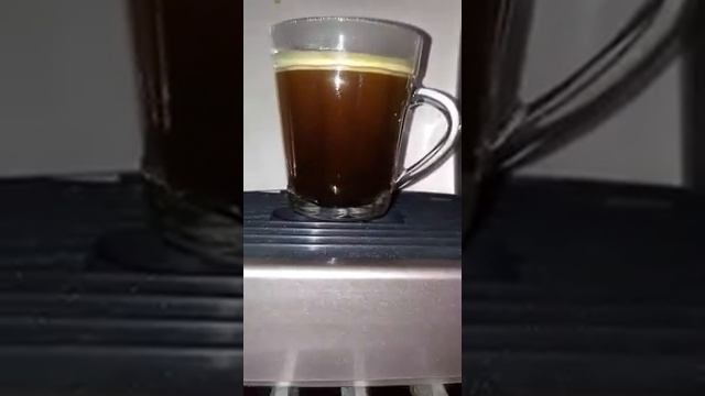 Máquina de Café Expresso Saeco Vienna Digital 220V Usada (semi nova) смотреть онлайн