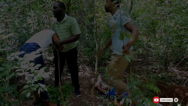 LA SORCIÈRE DANS LA FORÊT MINI SERIE PART # 8 VERONICA/ ACHELIN/FANIE/ DJEYSON смотреть онлайн