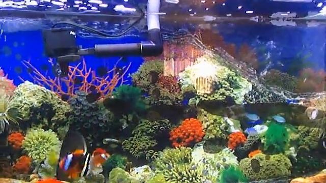 Liquid Image Camera Test 001 смотреть онлайн