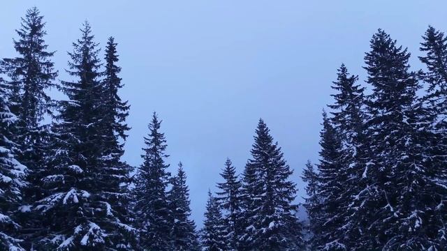 Закопане, отдых зимой! смотреть онлайн