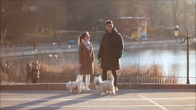 "Вечерний город" смотреть онлайн