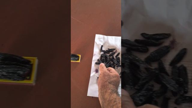 изюм из кишмиша АВАТАР смотреть онлайн
