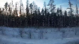 Вахта  Вся правда о работе вахтой