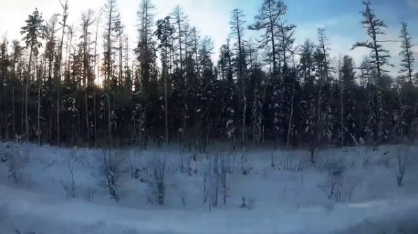 Вахта Вся правда о работе вахтой