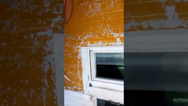 Громкая сирена на весь город Хабаровск 😯🤔😮 смотреть онлайн