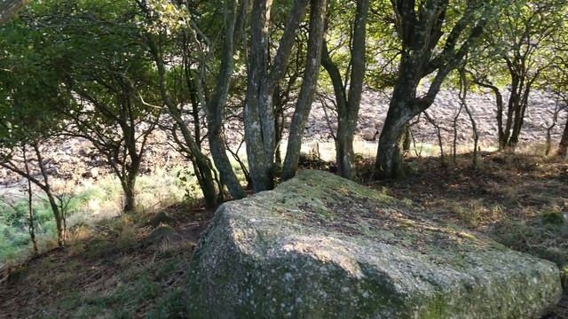 Uglestrup Runddysse смотреть онлайн