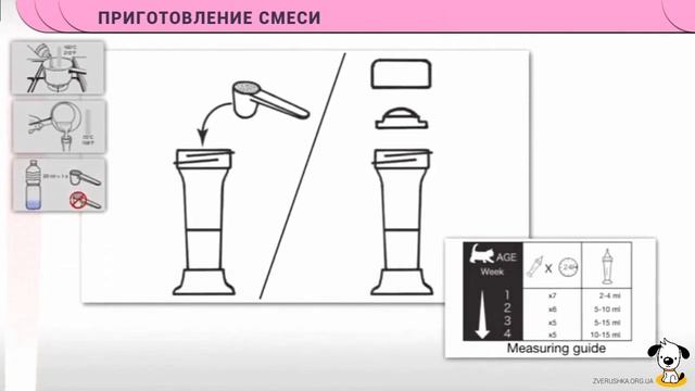 Заменитель молока для котят · Royal Canin Babycat Milk · Инструкция по приготовлению