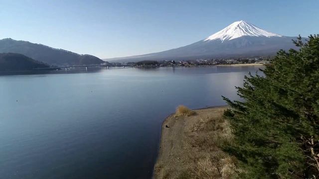 Perfect Relaxation Music | Relaxation Music, Sleeping Music, Calm Music | Beams смотреть онлайн