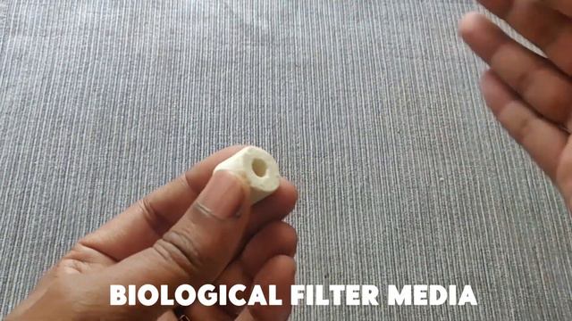 Types of Filter Media for Aquarium || Mechanical || Biological || Chemical смотреть онлайн