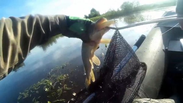 Канал (Barnaul Fishing) о рыбалке и только рыбалке!