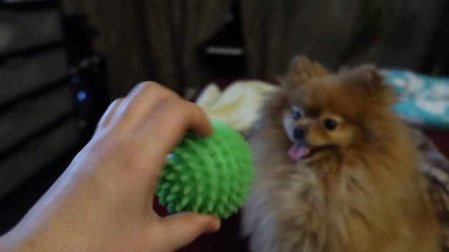 VLOG 23.02.2020 : ЗА ДЕНЬ ДО РОДОВ... смотреть онлайн