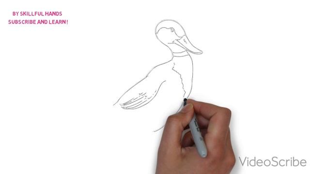 How to Draw a Duck / Как нарисовать утку смотреть онлайн
