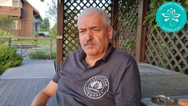Андрей Минченков, владелец питомника Сибирская Кувшинка у нас в гостях! Задавайте свои вопросы! смотреть онлайн