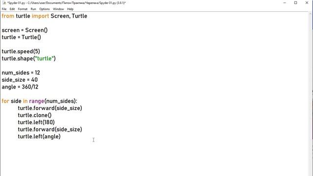 Turtle Жұлдызша салу смотреть онлайн