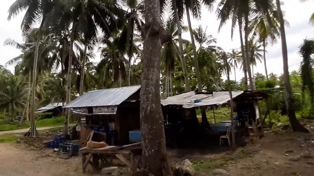 ФИЛИППИНЫ. ПАНГЛАО. СЕРЬЕЗНАЯ СТРОЙКА НА ОСТРОВЕ. смотреть онлайн