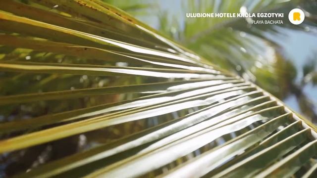 Playa Bachata Resort, Puerto Plata, Dominikana z Rainbow смотреть онлайн