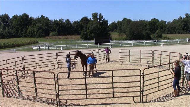 Monty Roberts, Alicia Watkins and Birdie at Leighton Farm смотреть онлайн